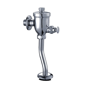 Toilet Flush Valve