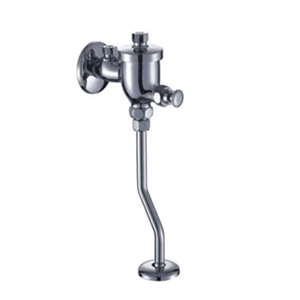 Toilet Flushometer