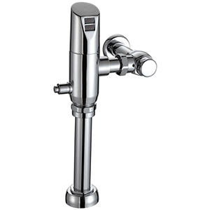 Commercial Flush Valves
