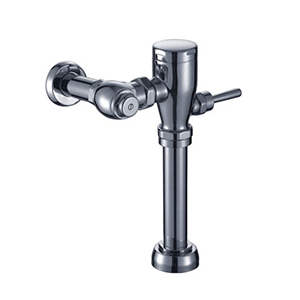 Flushometer Valve